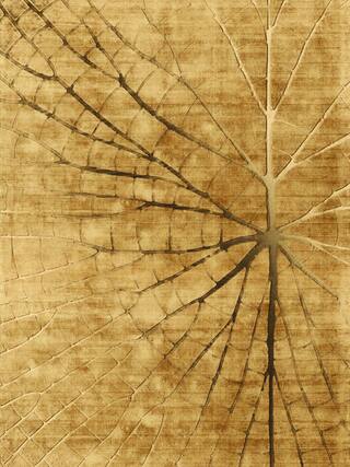 Gold Selection Contemporary Rug Collection rug 6000 · 26 high-resolution preview