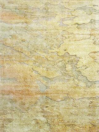 Gold Selection Contemporary Rug Collection rug 6000 · 33 high-resolution preview