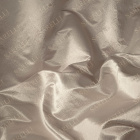 Allure Plain Color Champagne