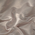 Diana Plain Champagne